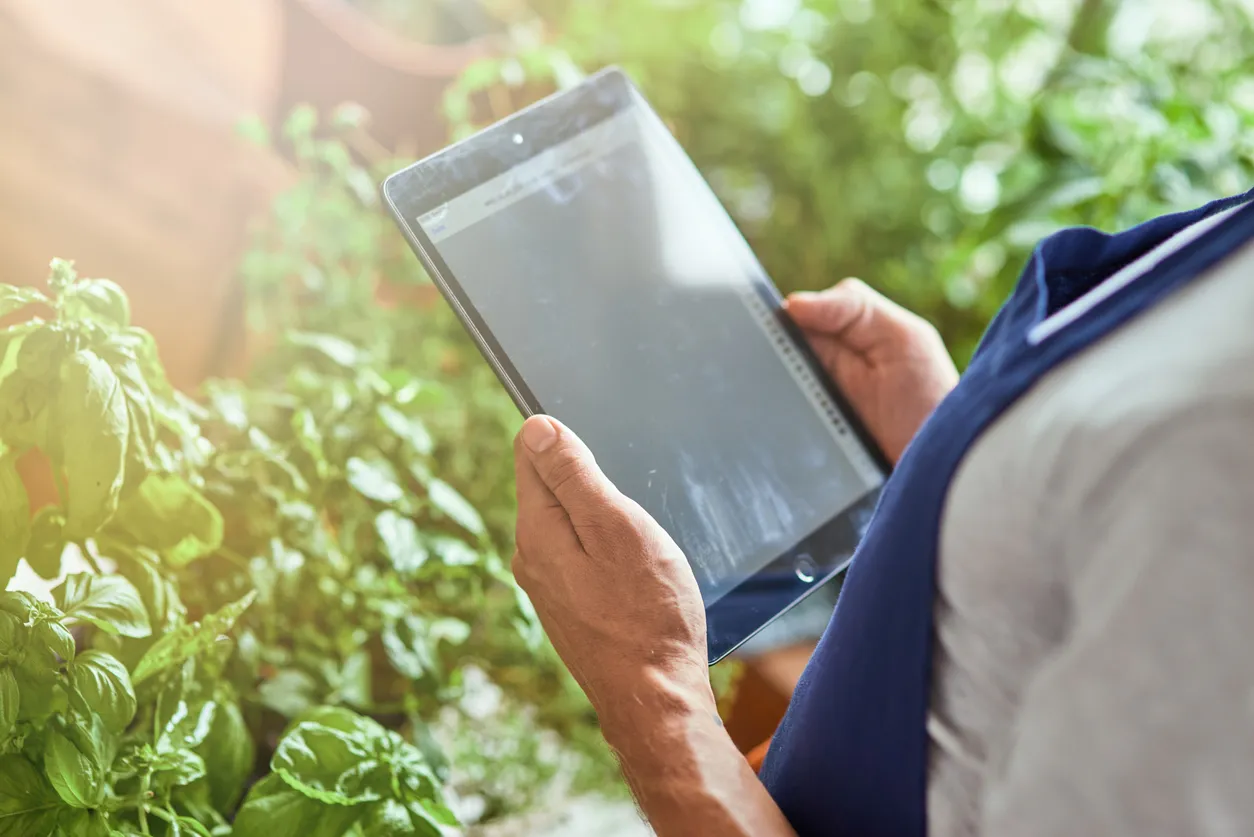 Russia Is to Move Agricultural Production Into a Digital Environment