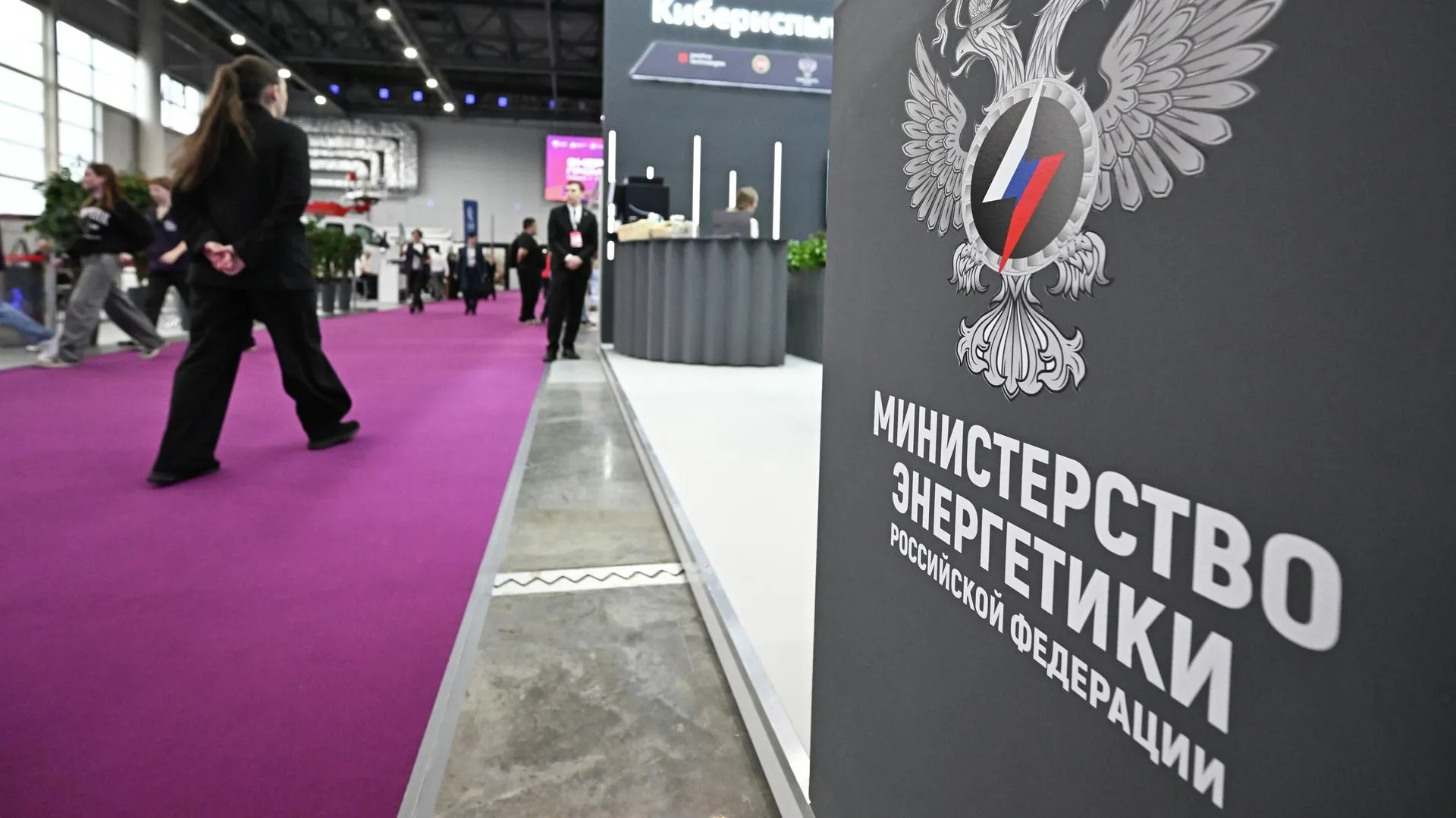 РЭА Минэнерго показало экспертам практику применения ИИ для научных данных